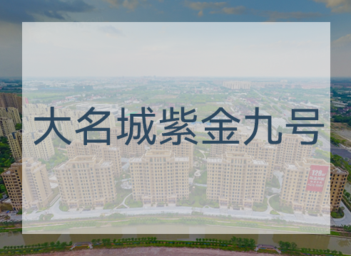 大名城紫金九号