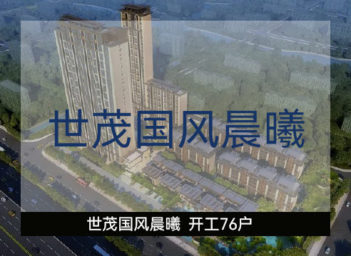 世茂国风晨曦