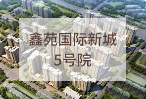 鑫苑国际新城5号院